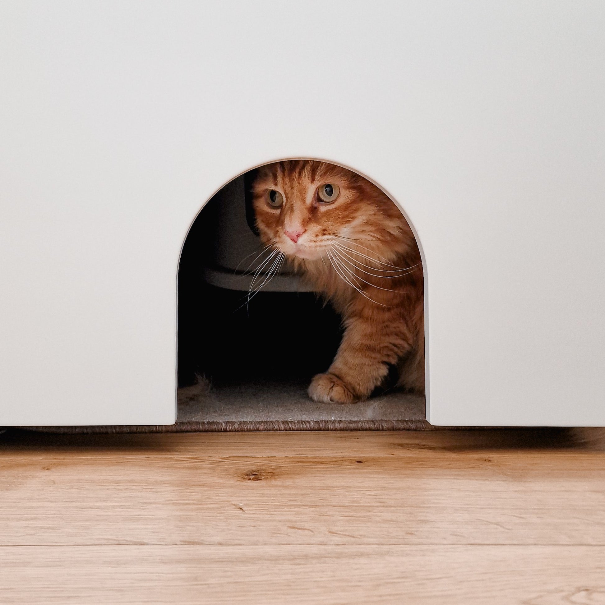 kattenbak onder trap oplossing