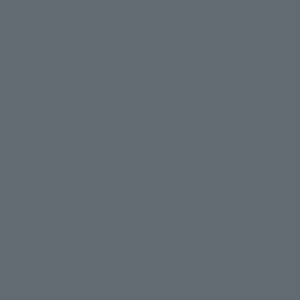 Maatwerk kleur: Sigma/Histor – PPG 10-994