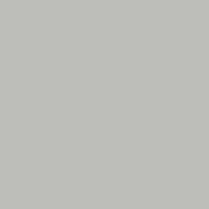 Maatwerk kleur: Sigma/Histor – PPG 994-1029