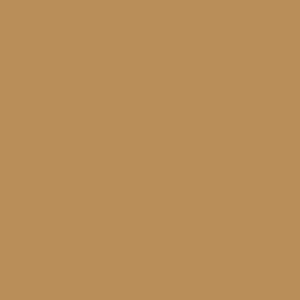 Maatwerk kleur: Sigma/Histor – PPG 1065-1101