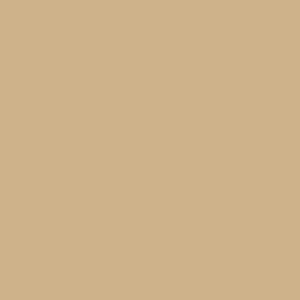 Maatwerk kleur: Sigma/Histor – PPG 1065-1101