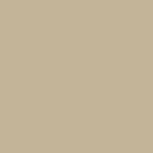 Maatwerk kleur: Sigma/Histor – PPG 10-994