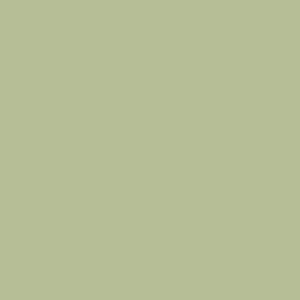 Maatwerk kleur: Sigma/Histor – PPG 1101-1137