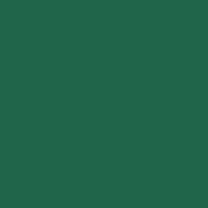 Maatwerk kleur: Sigma/Histor – PPG 1101-1137