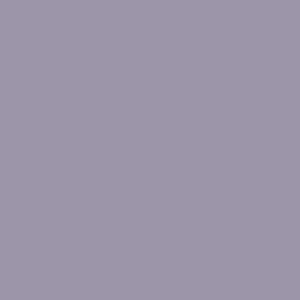 Maatwerk kleur: Sigma/Histor – PPG 1172-1208
