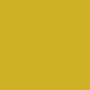 Maatwerk kleur: Sigma/Histor – PPG 1208-1244
