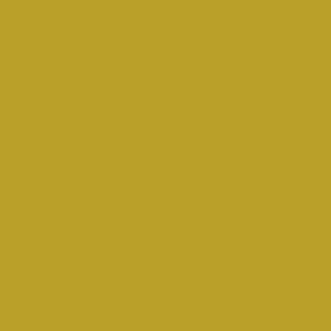 Maatwerk kleur: Sigma/Histor – PPG 1208-1244