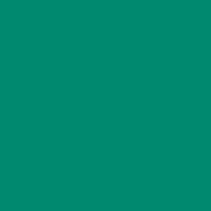 Maatwerk kleur: Sigma/Histor – PPG 1208-1244