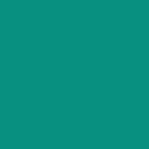 Maatwerk kleur: Sigma/Histor – PPG 1208-1244