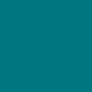 Maatwerk kleur: Sigma/Histor – PPG 1208-1244