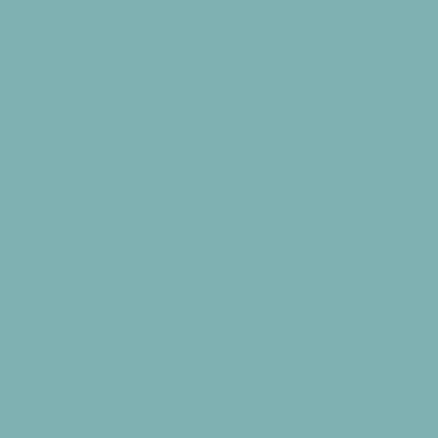 Maatwerk kleur: RAL Classic